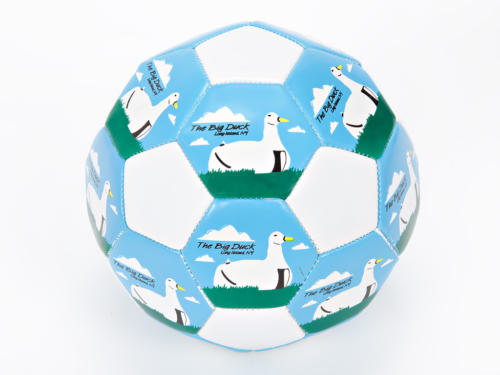 BigDuckSoccerBall